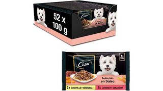 Cesar Deliciously Fresh Wet Dog Food