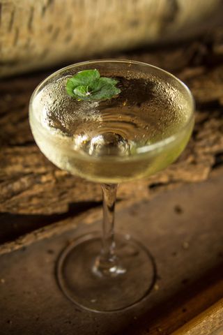 Green Martini - savoury cocktails
