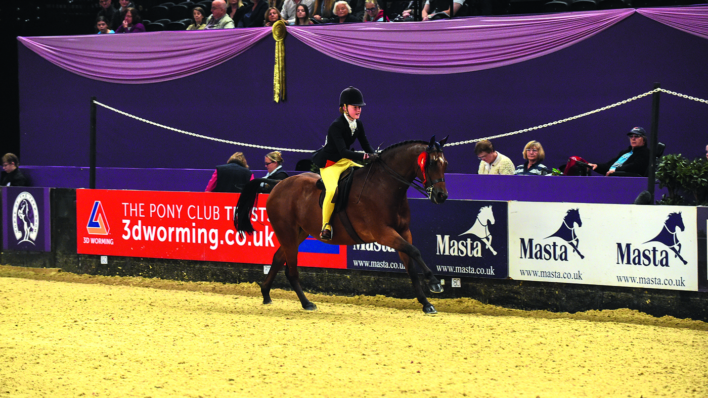 VALENTINE DIGNITY ridden by Sadhbh O'Connor for Aoife O'Connor, Champion in Class 47, Topham Barnes Show Hunter Pony of the Year Championship, during Horse Of The Year Show at the NEC Birmingham, West Midlands, UK between 07-11th October 2015