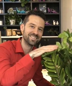 How to propagate a rubber plant: a step-by-step guide