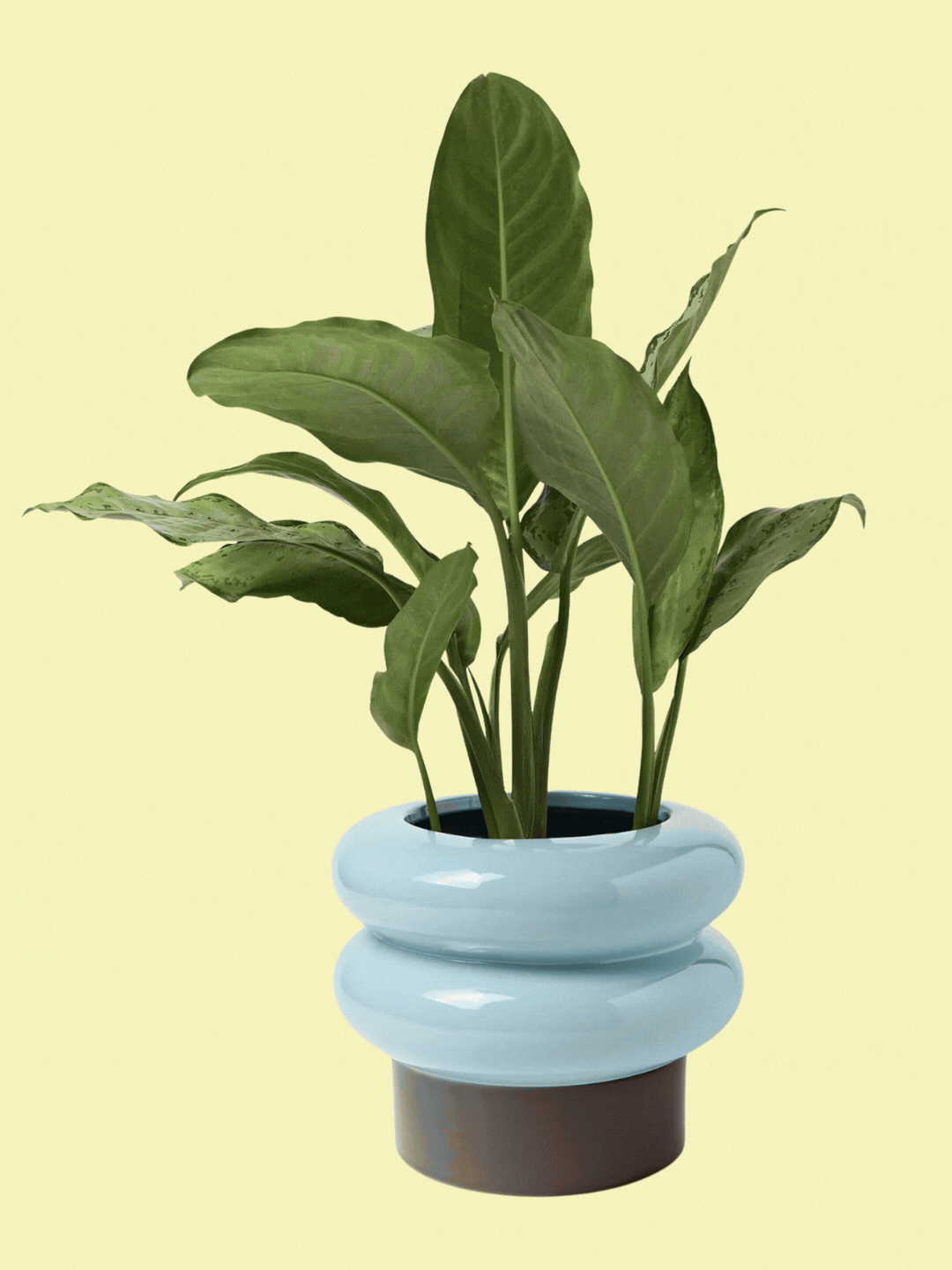 A sky blue and brown planter from Westwing