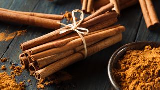 Tied bunch of cinnamon sticks next to a small bowl of ground cinnamon