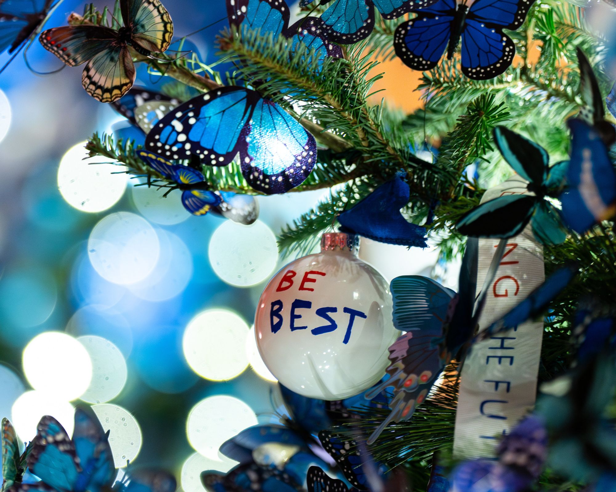 White House Christmas decorations