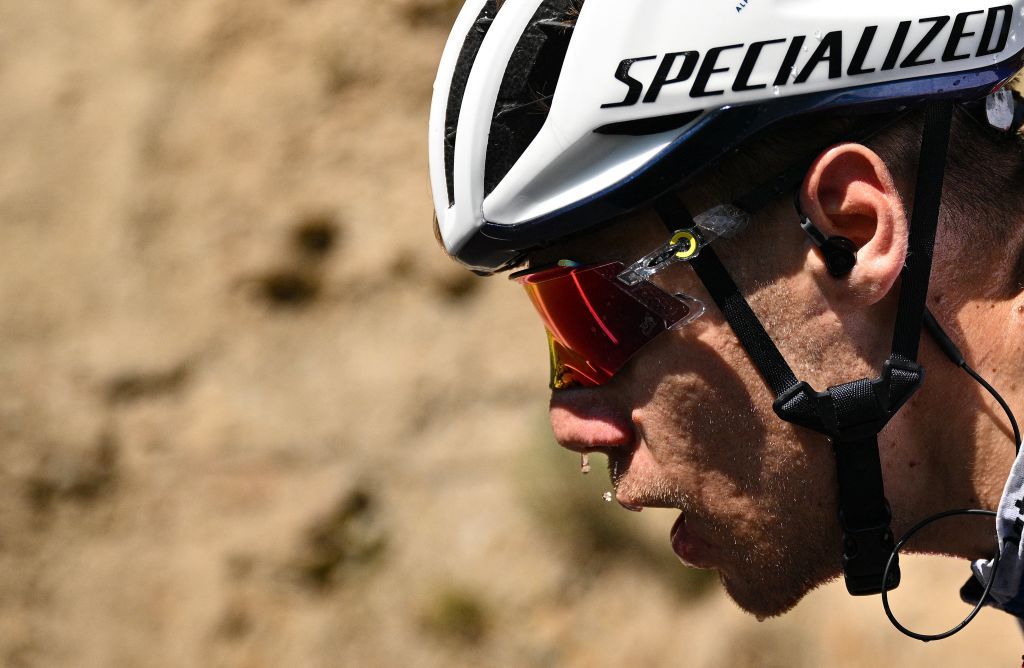 QuickStep Alpha Vinyl Teams Dutch rider Fabio Jakobsen cycles during the 14th stage of the 109th edition of the Tour de France cycling race 1925 km between SaintEtienne and Mende in central France on July 16 2022 Photo by Marco BERTORELLO AFP Photo by MARCO BERTORELLOAFP via Getty Images