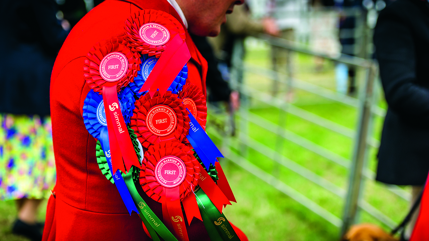 Holcombe Ribbons