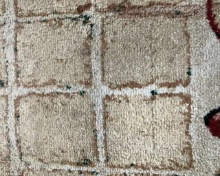 Ketchup stain removed on beige printed rug after using the Shark CarpetXpert with Stainstriker carpet cleaner