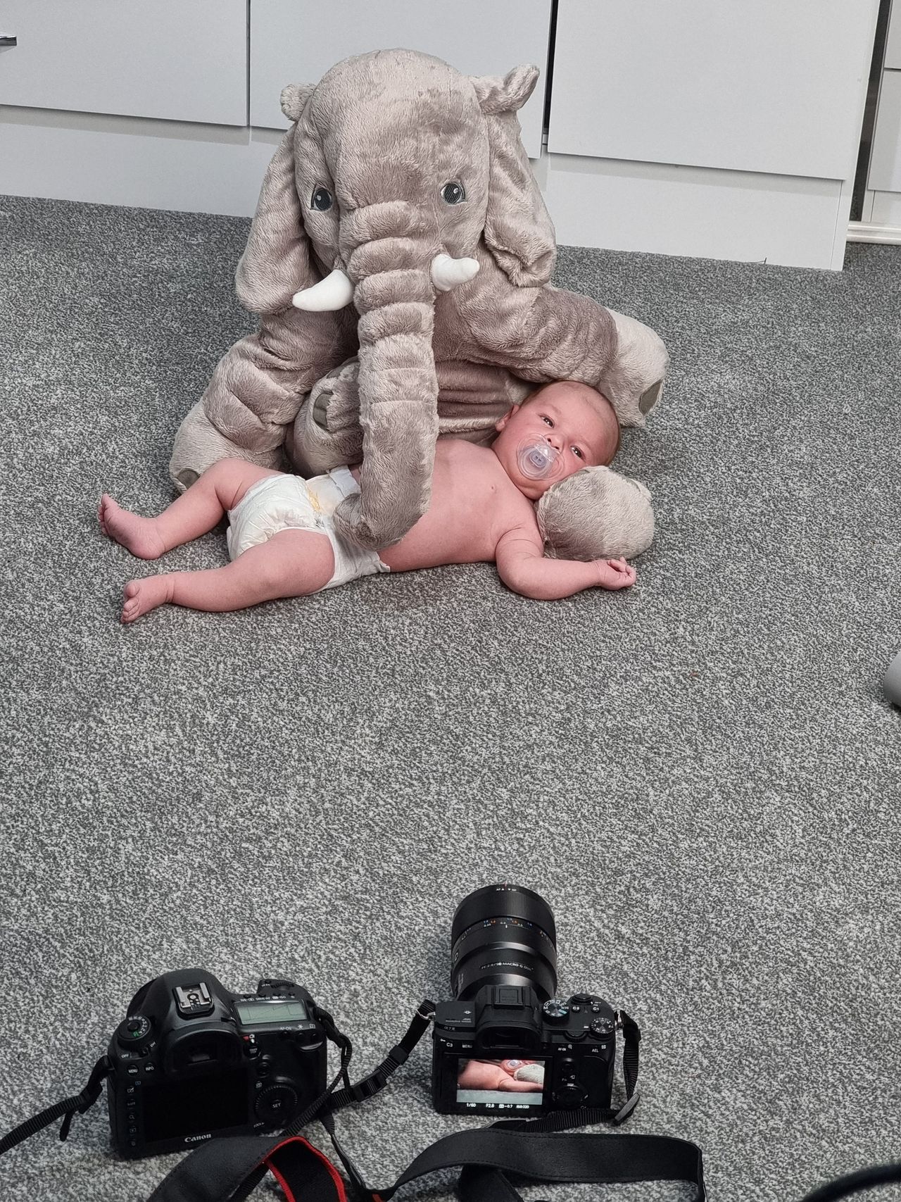 My first newborn shoot