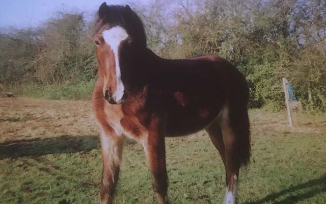 Jazmine as a two-year-old