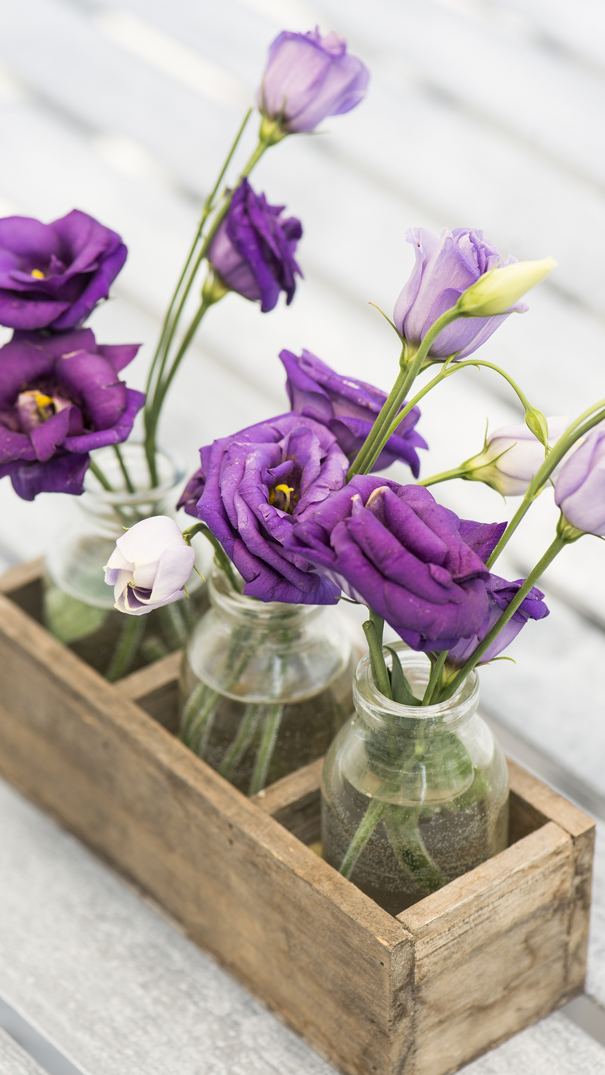 A table decoration, wooden box with three bottles containing fresh cut purple blooms.