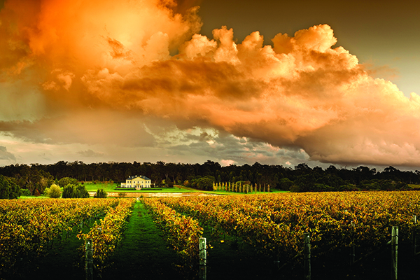 000009bbe-June_Free_from_estate_a