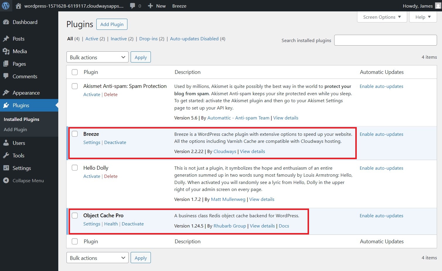 Cloudways WordPress default plugins