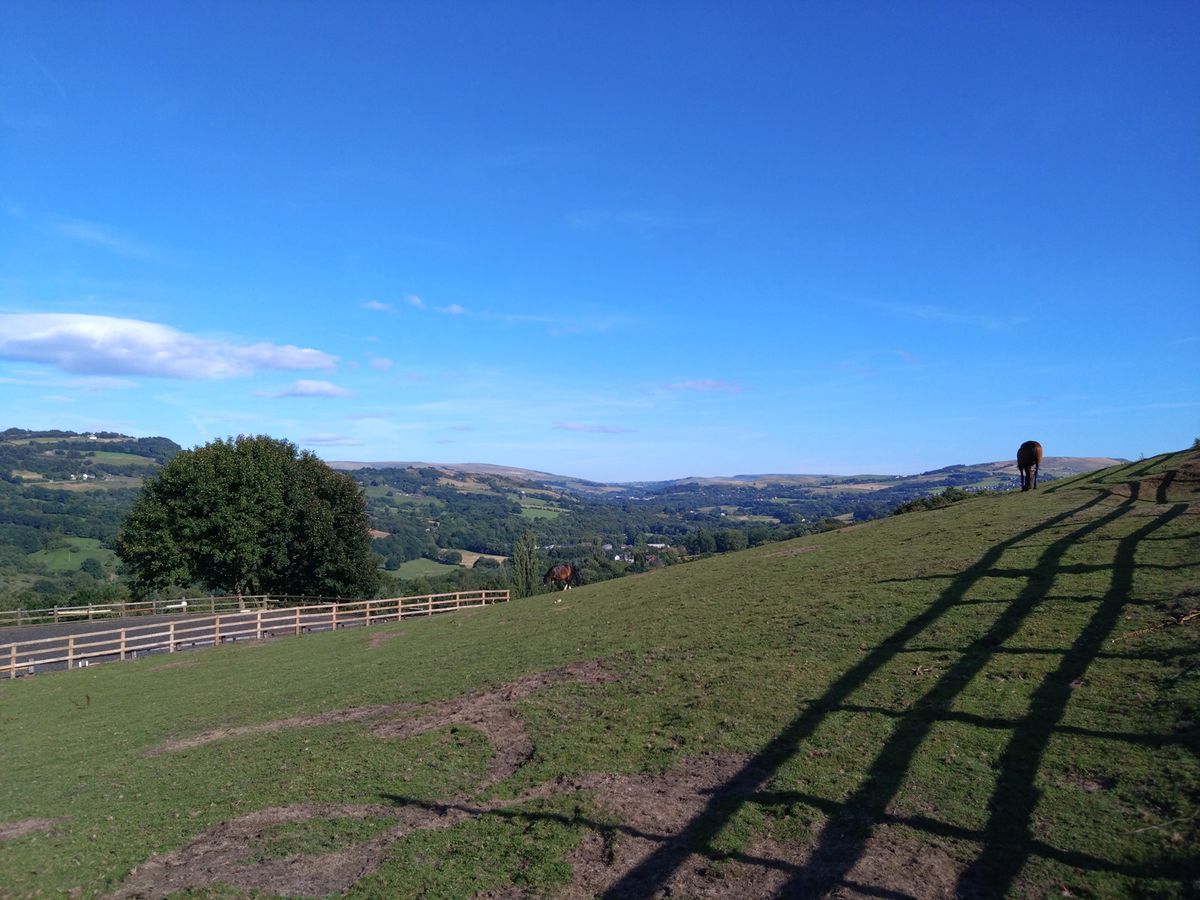 Sony Xperia 10 IV camera sample showing a field with green hills behind