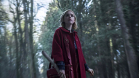   The Chilling Adventures of Sabrina