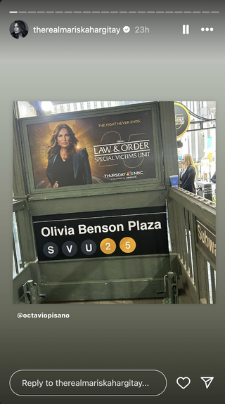 Photo of SVU subway entrance at 25th anniversary pop-up event in New York City from Mariska Hargitay Instagram Story.