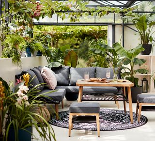 Green conservatory with corner sofa and plants