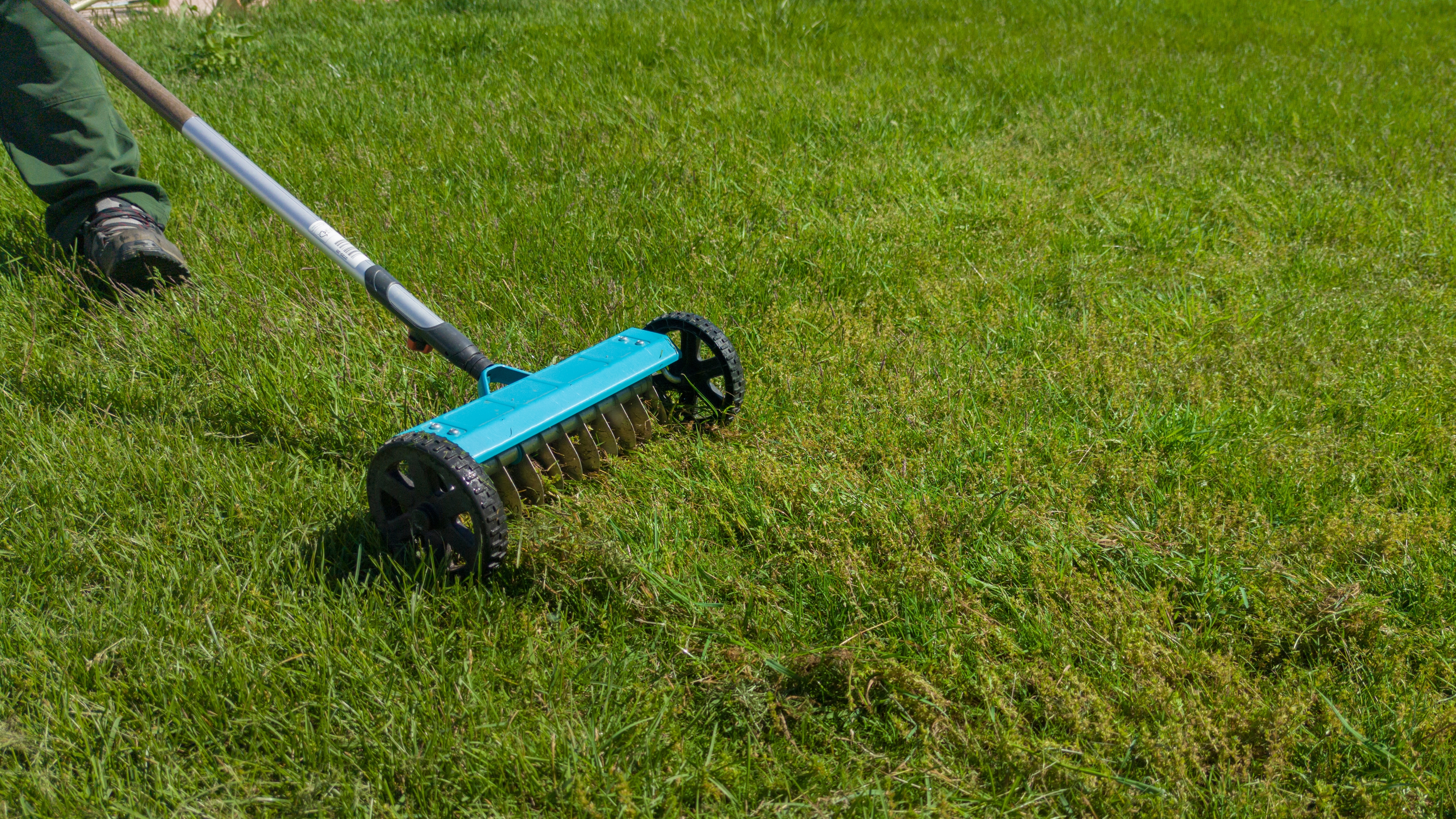 Scarifying a lawn