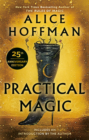 practical magic best witch books