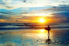 Surfer on the Beach