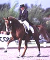 4A851851-0014-4317-89BD-2ADDA92C5629.jpg