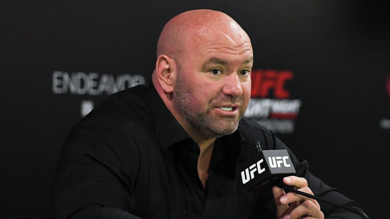 UFC president Dana White 