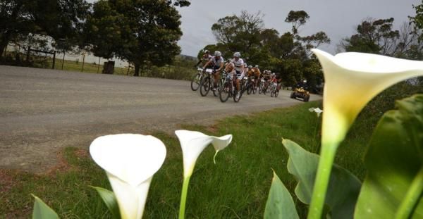 The group passes some lillies