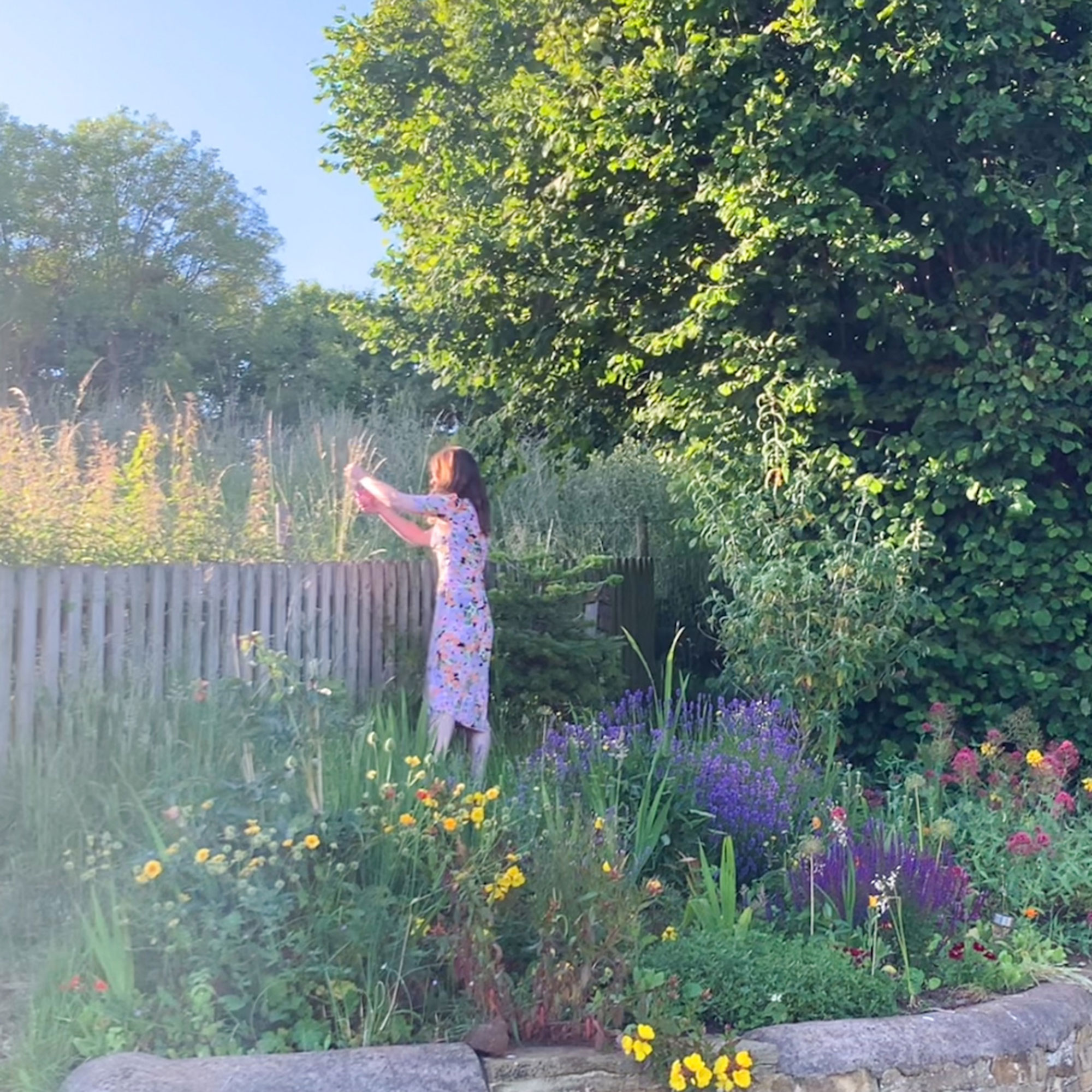 Woman standing in garden reaching over wooden fence into wildly grown field