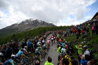 The peloton rides up the Mortirolo at the 2024 Giro d'Italia