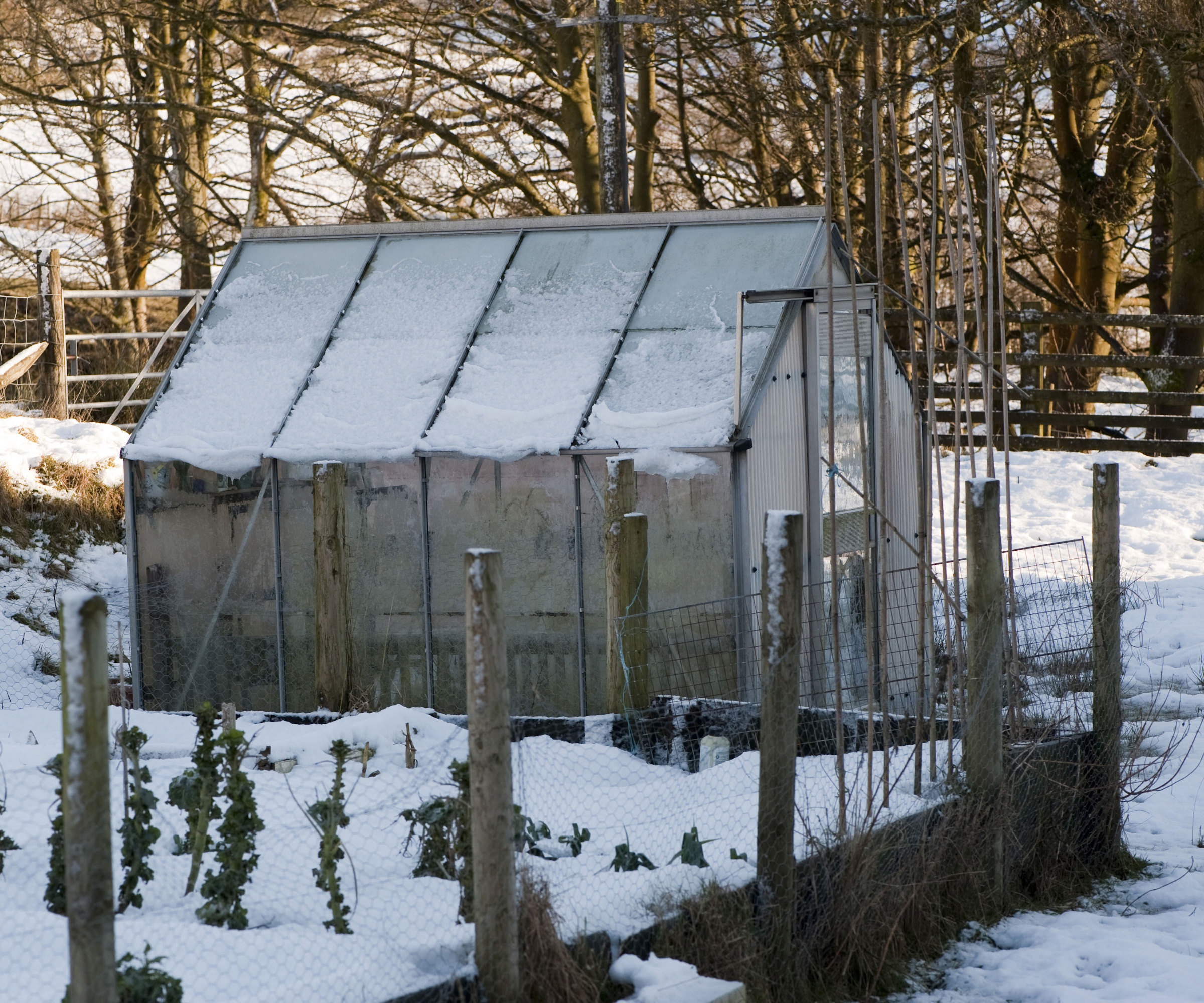 Snowy greenhouse