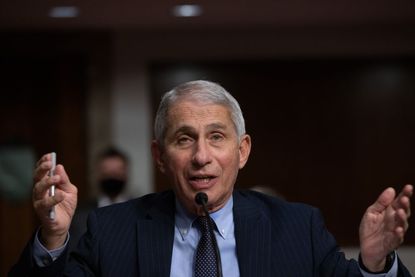 Director of the National Institute of Allergy and Infectious Diseases, Anthony Fauci, testifies during a US Senate Senate Health, Education, Labor, and Pensions Committee hearing to examine C