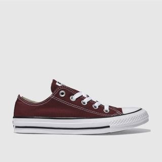 Converse All Star Ox Trainers in Burgundy