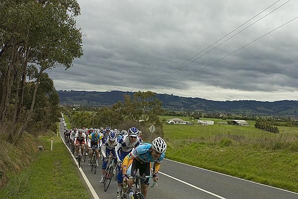 The peloton climb their way out of Trafalgar on the 75.3km fourth stage to Walhalla.