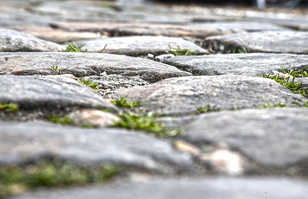 Paris-Roubaix cobbles