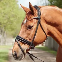 Finesse Cassidy Rolled Padded Flash Bridle | 30% off at RedpostWas &pound;399 Now &pound;279.30