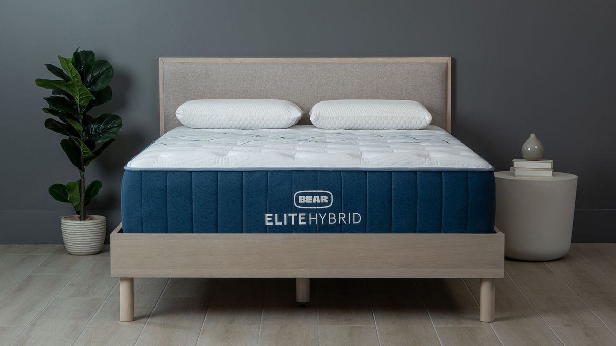 bear elite hybrid mattress review reddit