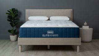 The Bear Elite Hybrid mattress shown on a beige fabric bed frame placed against a blue-grey wall