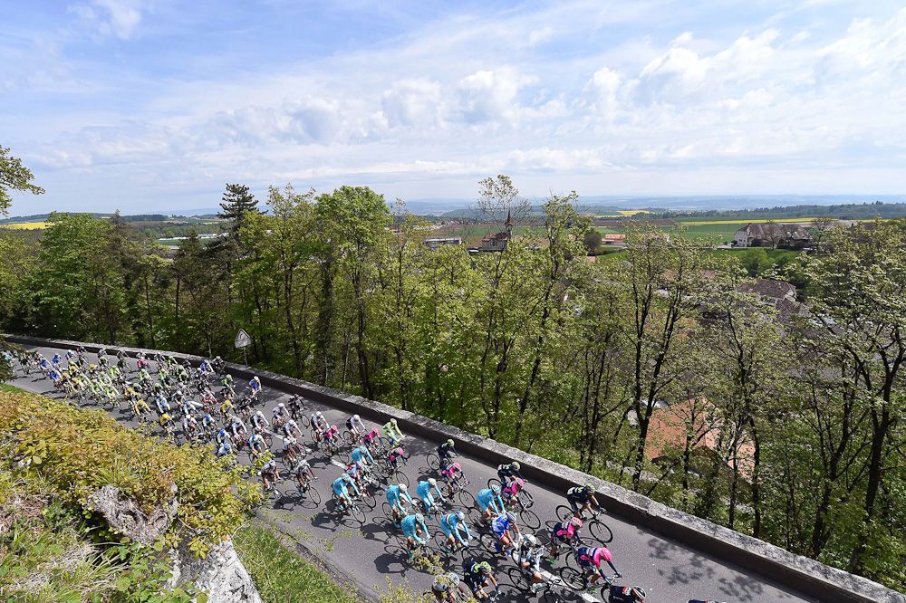 The pack rolls through the Swiss countryside.