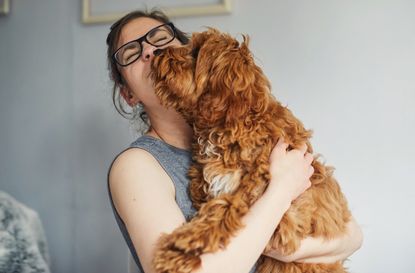 dog lovers pick pet over partner