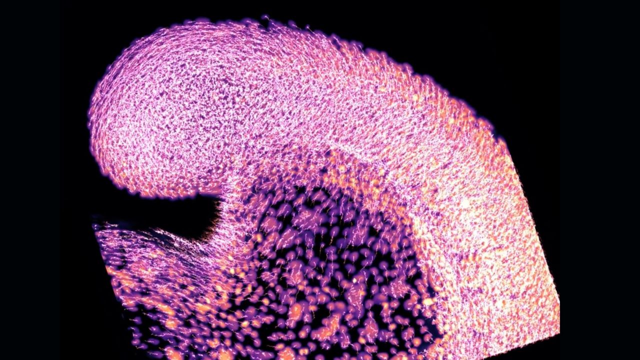 pink and purple cells shown blurred, as if moving, inside a wave-like shape