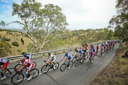 The Tour Down Under peloton enroute to Tanunda