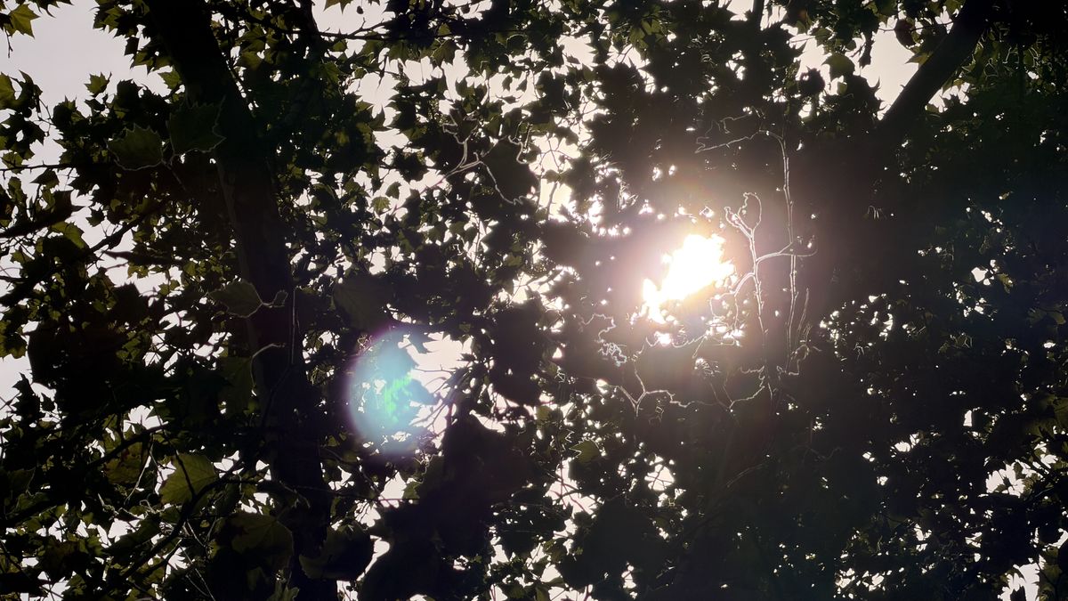 iPhone 17 Pro Max vs Sony Alpha a6000