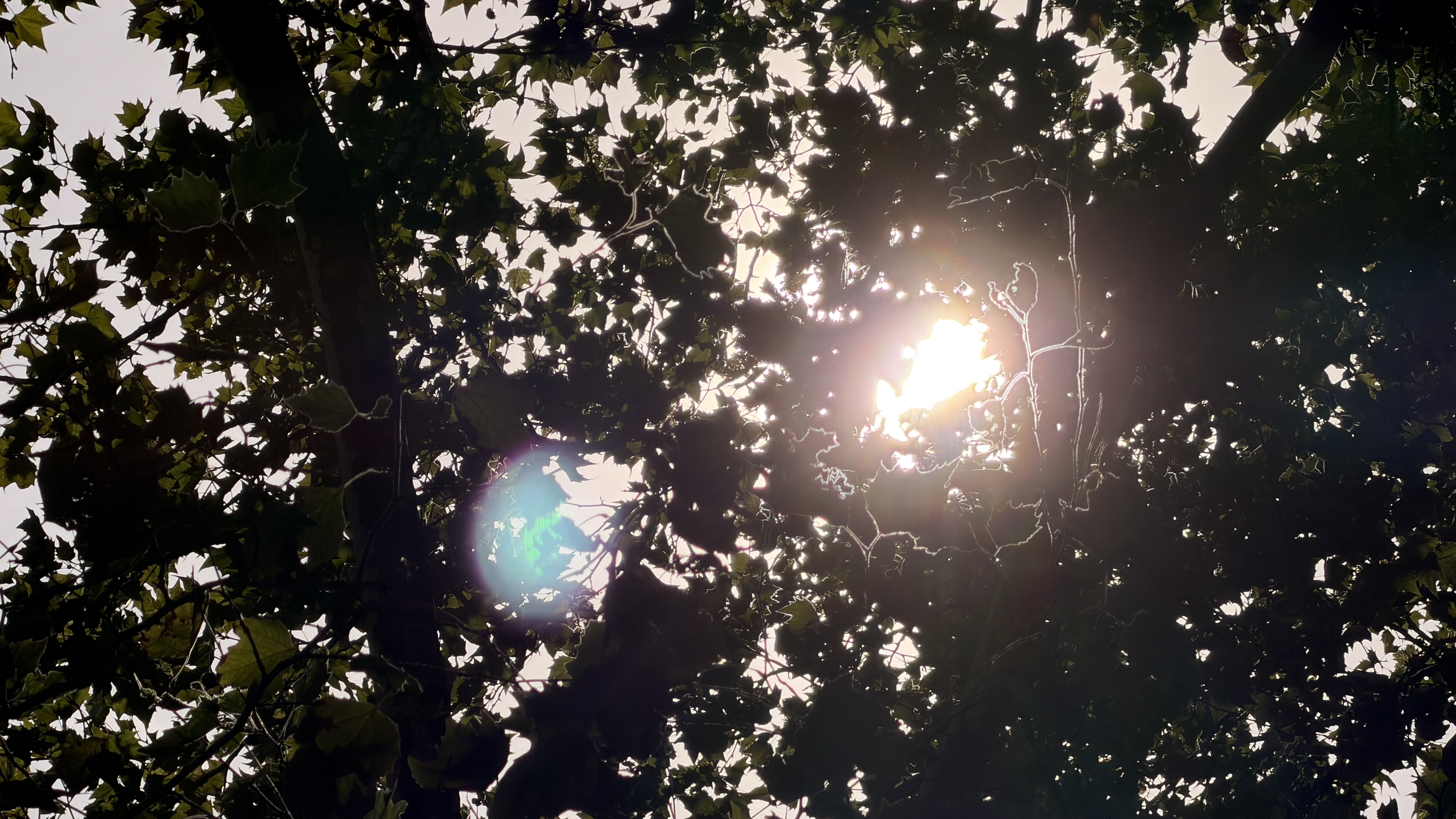 iPhone 17 Pro Max vs Sony Alpha a6000