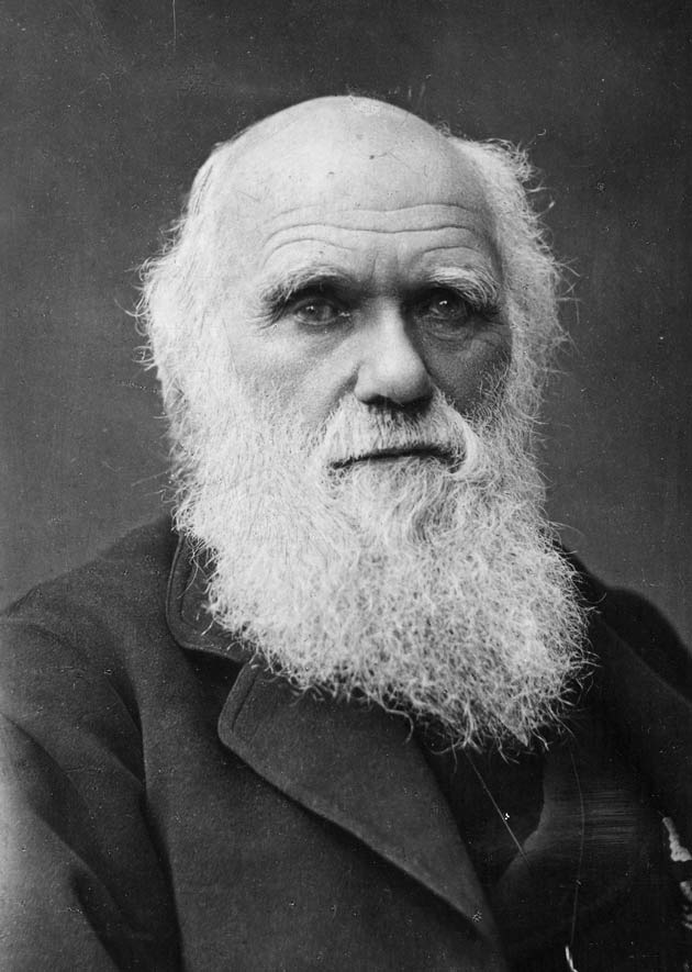This is one of the last photographs taken of Charles Darwin, who developed the theory of evolution whereby changes in species are driven, over time, by natural and sexual selection.