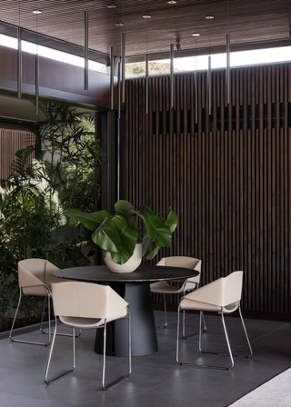 A dining room with a large houseplant