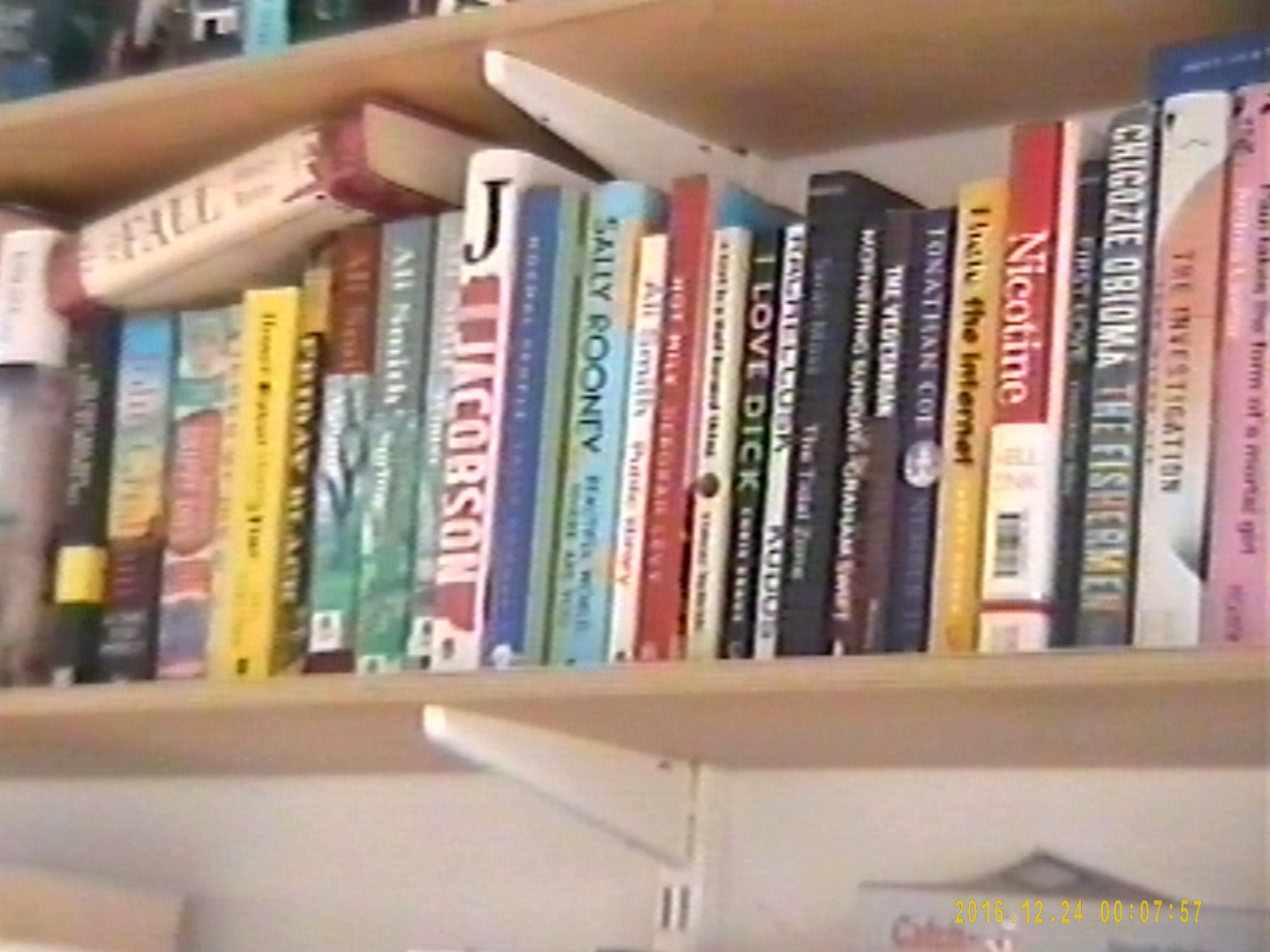 Blurry screenshot of an 8mm tape captured using the DigitNow Full Media Recorder