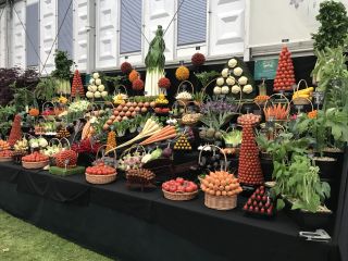 The display that won Medwyn Williams a gold medal at Chelsea