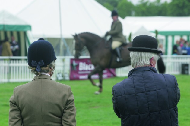 A picture of two judges viewed from behind, a lady on the left wearing a hacking jacket and navy riding hat, and a gentleman on the right in a blue jacket with a bowler hat, in the background is a horse trotting in front of a banner and a large marquee