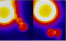 an image showing how cells ingest (and regurgitate) various substances