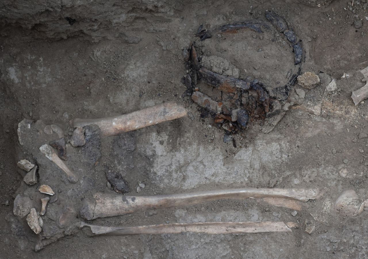 A close-up of bones in the burial mound