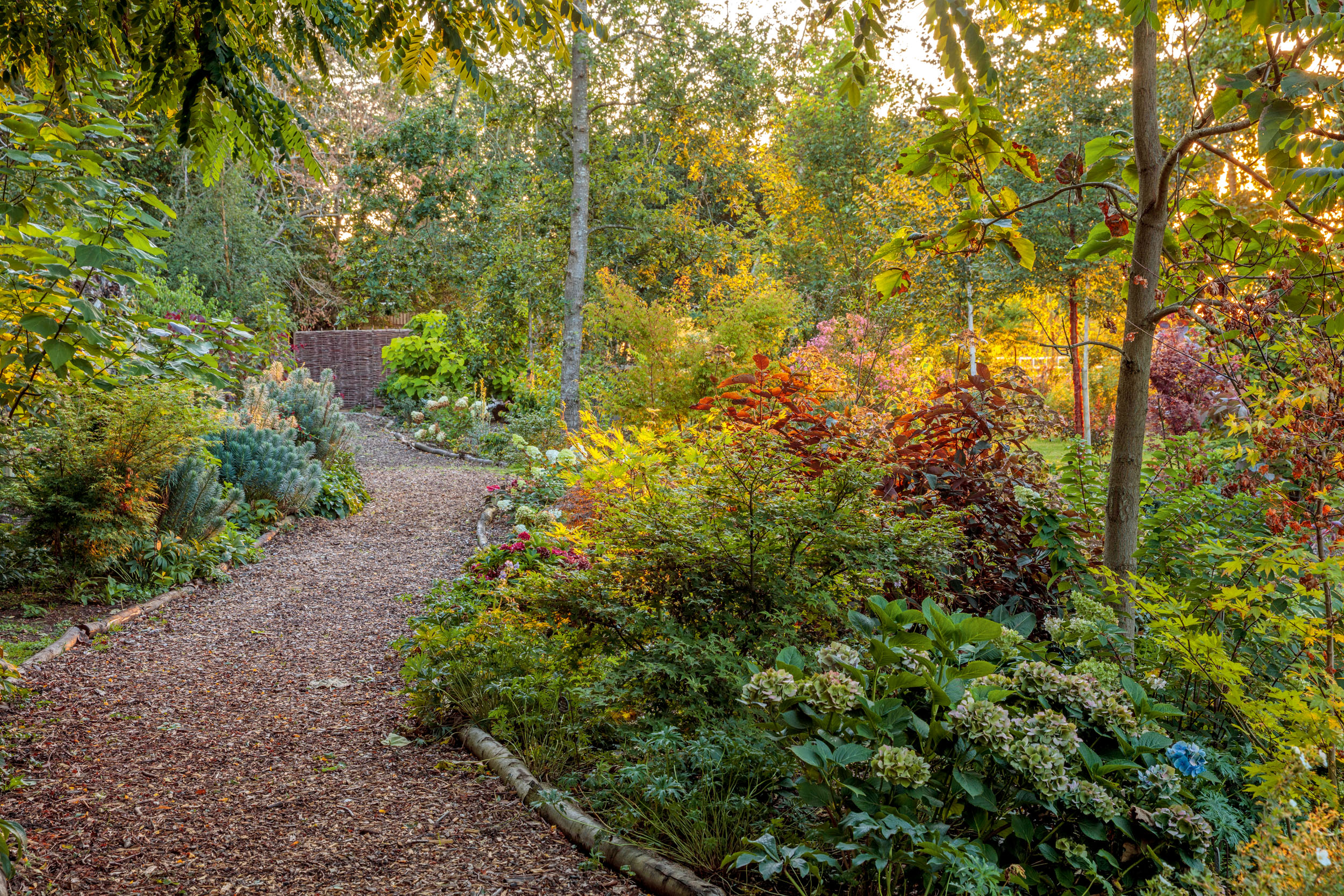 The garden and arboretum at Cedar House in Wasperton