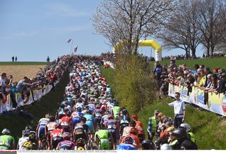 The peloton climbing during the 2015 Amstel Gold Race